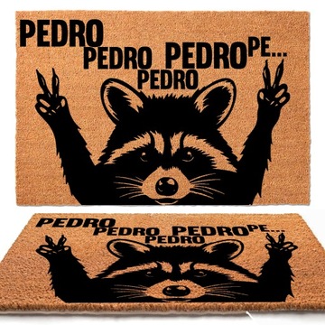WYCIERACZKA WEJŚCIOWA KOKOSOWA 60X40CM VIRAL TIKTOK SZOP PEDRO PEDRO WZORY