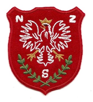 Orzeł godło naszywka PL aplikacja termo WYPRZEDAŻ