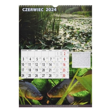 Настенный календарь рыбалки 2024