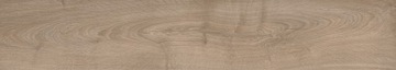 PŁYTKI DREWNOPODOBNE PODŁOGOWE GRES PANEL SPACE NATURAL 20X120 CARVING /MAT