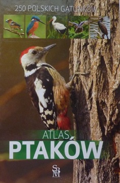 Dominik Marchowski ATLAS PTAKÓW 250 POLSKICH GATUNKÓW