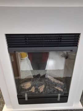 Электрический камин Dimplex Bellini Z5864 белый