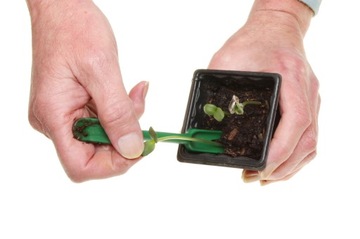 НАБОР САДОВОГО ИНСТРУМЕНТА ДЛЯ ПОСАДКИ РАСТЕНИЙ 54 шт.