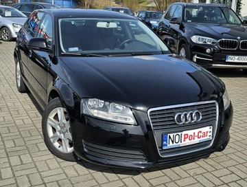 Audi A3 8P Hatchback 3d 2.0 TDI CR 140KM 2009 Audi A3