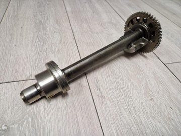 TRIUMPH SPEED TRIPLE 1050 WALEK BALANSER BALANSUJACY ST TIGER BALANS