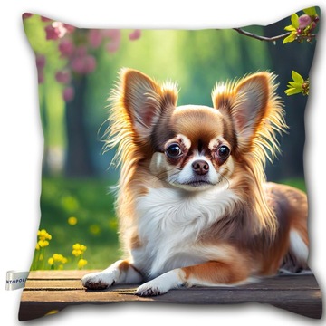 Poduszka dekoracyjna 40x40 / Poduszka z psem / Chihuahua