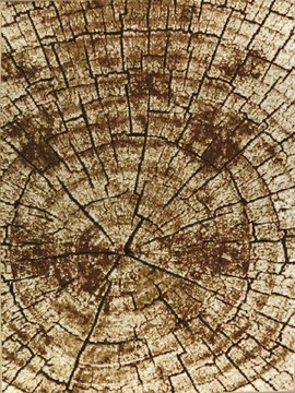 PIEŃ DYWAN 200x300 - BEŻOWY - SOFT - NOWOŚĆ!