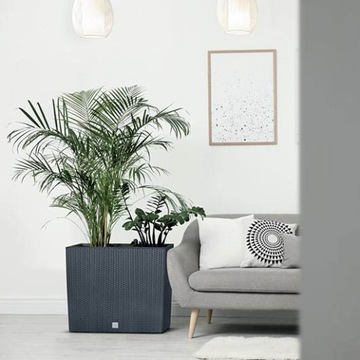 Высокий цветочный горшок Rato Case DRC800T Umbra