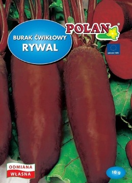 Burak Ćwikłowy Rywal Nasiona 10g Nasiona Polan
