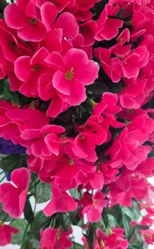 Искусственная герань Surfinia Balcony Terrace 1 шт белый