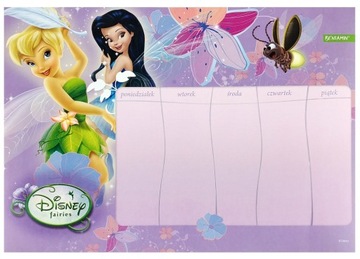 PLAN LEKCJI A4 Z MAGNESEM WRÓŻKI DISNEY