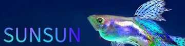 ФИЛЬТРУЙТЕ ВАШУ ВОДУ РАЗЛИЧНЫМИ МЕТОДАМИ ОДНОВРЕМЕННО