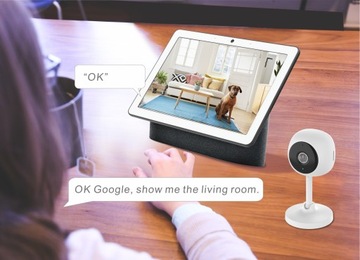 Внутренняя камера WIFI, качество изображения FullHD днем ​​и ночью Tuya WOOX