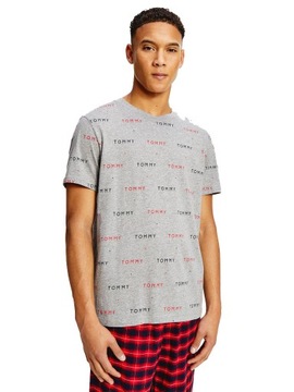 TOMMY HILFIGER KOSZULKA MĘSKA T-SHIRT GRAY r. S