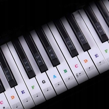 БОЛЬШИЕ НАКЛЕЙКИ CASIO