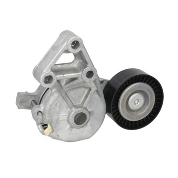 NAPINACZ PASKA WIELOROWKOWEGO SKF VKM 31019