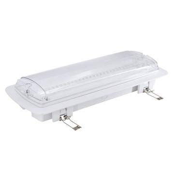 АВАРИЙНЫЙ ПОВЕРХНИЙ СВЕТ ГАЛЕР 3Н 3,5Вт IP65 CNBOP С НАБОРОМ ПИКТОГРАММ