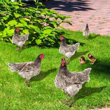 Садовые декоративные статуи курицы, наружное украшение