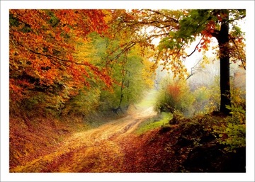 Плакат для домашнего декора Воздушный шар 70х50 К43