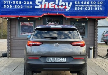 Opel 2020 Opel Grandland X 1.2 benz. 130KM klimatronik Led Navi Tempomat Stan Bdb OP, zdjęcie 7