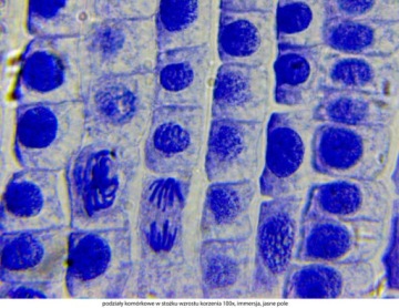 Микроскоп Delta Optical Genetic Pro Trino + аккумулятор