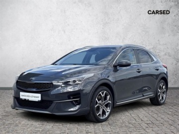 Kia XCeed Crossover 1.6 T-GDI 204KM 2019 Kia XCeed 1.6T-GDI 204KM L Business Line DCT l Grz