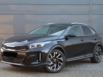 Kia XCeed 2025 KIA XCeed 1.6 T-GDI Tribute DCT Crossover 150KM 2025