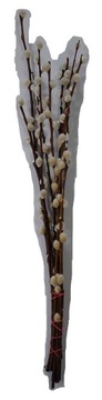 PRAWDZIWE BAZIE GAŁĄZKI ŻYWE MAŁE 35 CM 1 SZT