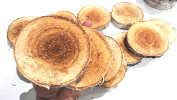 СРЕЗ ДЕРЕВА, КРУГ БЕРЕЗОВОЙ ШТАМПЫ 9-14СМ, 1 ШТ.