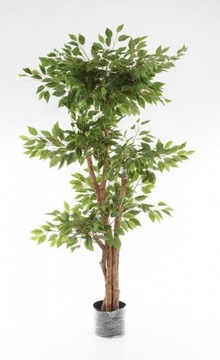 впечатляющий искусственный фикус Benjamina 170 TREE ствол
