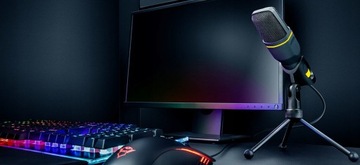 КОМПЬЮТЕРНАЯ ИГРОВАЯ СТУДИЯ МИКРОФОН