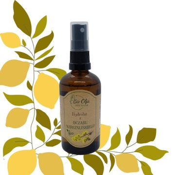BIOOLJA HYDROLAT Z Oczaru Wirginijskiego BIO 100 ml