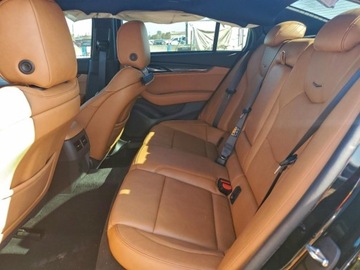 Cadillac 2024 Cadillac CT5 Premium Luxury 2024 3.0L 3.0 Benzyna 335KM, zdjęcie 10