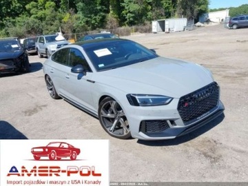 Audi A5 F5 2019 Audi RS5 Coupe 2.9T 2019, od ubezpieczalni 2.9 Benzyna 444KM