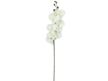 Orchidea Stoczyk biały white gałązka 90 cm jak zywy satynowy de lux