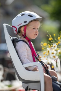 Hamax - Велокресло Caress с креплением на багажник - зеленый/черный