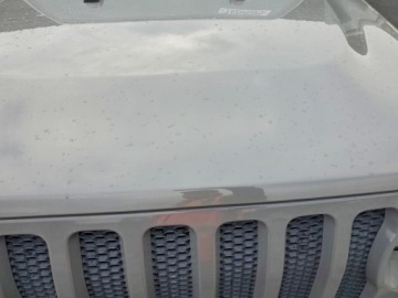 Jeep Wrangler IV 2021 Jeep Wrangler 2021 JEEP WRANGLER SPORT 3.6 Benzyna 295KM, zdjęcie 2