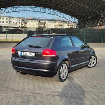 Audi A3 8P Hatchback 3d 2.0 TDI PD 170KM 2008 Audi A3 3-drzwiowe 2.0 Diesel 170KM, zdjęcie 13
