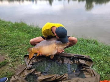 ЦИТРУСОВЫЕ ПРОТЕИНОВЫЕ ШАРИКИ 16ММ RAFISH VIP 200МЛ