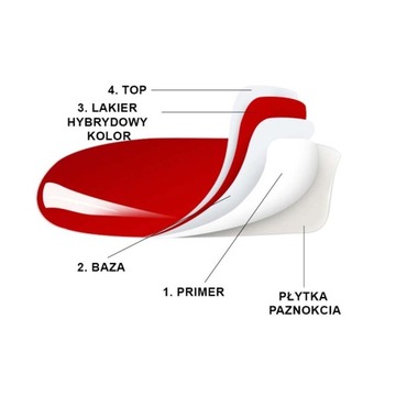 Nails Company ULTRA BOND бондер-праймер бескислотный