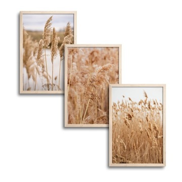 3x 30x40 CM ZESTAW TRZY OBRAZY PLAKAT W RAMIE DREWNIANEJ BOHO TRAWY TRYPTYK