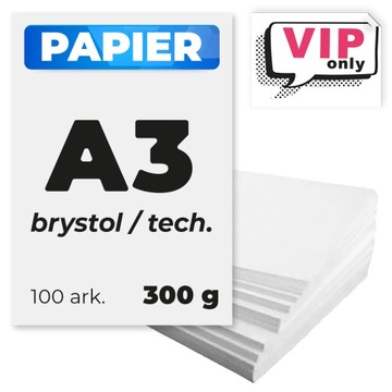 Papier BRYSTOL 300g papier techniczny biały gruby 300g A3 100 ark.
