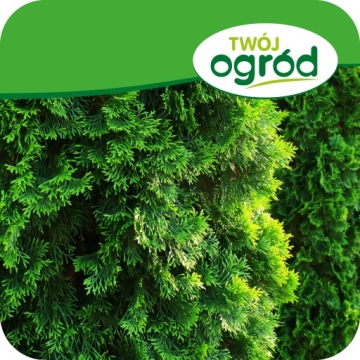 Удобрение для хвойных растений против побурения хвои 1кг CONIFERS TUJE Гранулированное