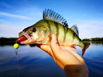 ARMED KEITECH SWING IMPACT FAT 2.8 РЕЗИНОВЫЙ КРЮК CHEBURASZKA OFFSET