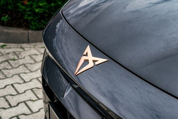 Cupra Formentor 2025 Cupra Formentor 2.0 TSI 204 KM DSG 4Drive, zdjęcie 16