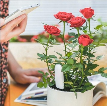Датчик мониторинга растений Bluetooth Flower Care HHCC