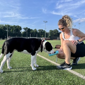 ТУРИСТИЧЕСКАЯ БУТЫЛКА С МИСКОЙ ДЛЯ СОБАК 350МЛ