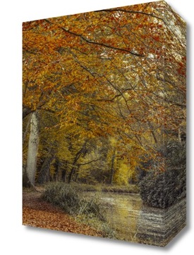 Obraz 20x30cm Ścieżka przy kanale, Assaf Frank