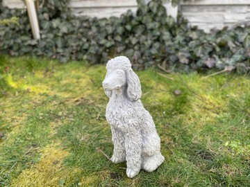 Figura betonowa ogrodowa pies pudel