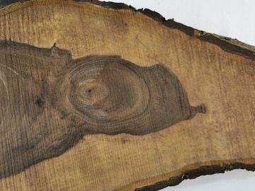 Срез древесины грецкого ореха 77x41x6 см, большой выбор смолы